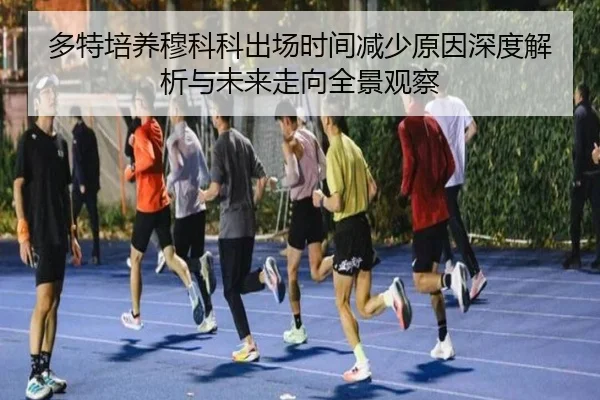 多特培养穆科科出场时间减少原因深度解析与未来走向全景观察