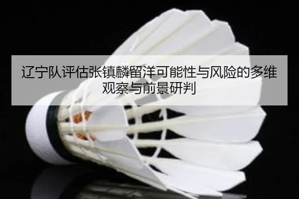 辽宁队评估张镇麟留洋可能性与风险的多维观察与前景研判